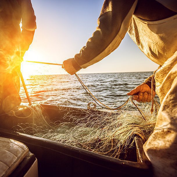 Seafood & Marine Fisheries Packaging